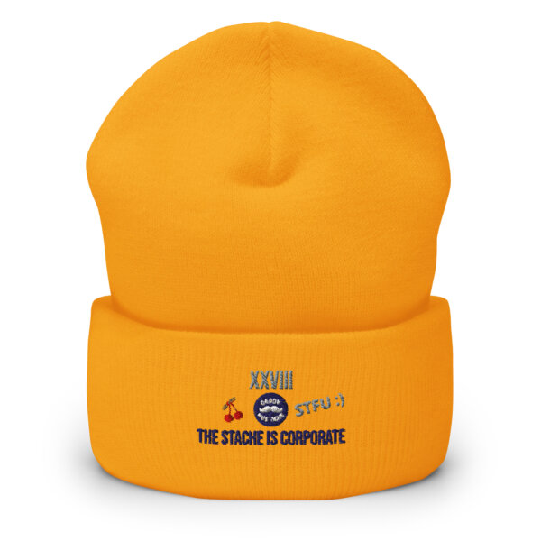 Cuffed Beanie - Image 7