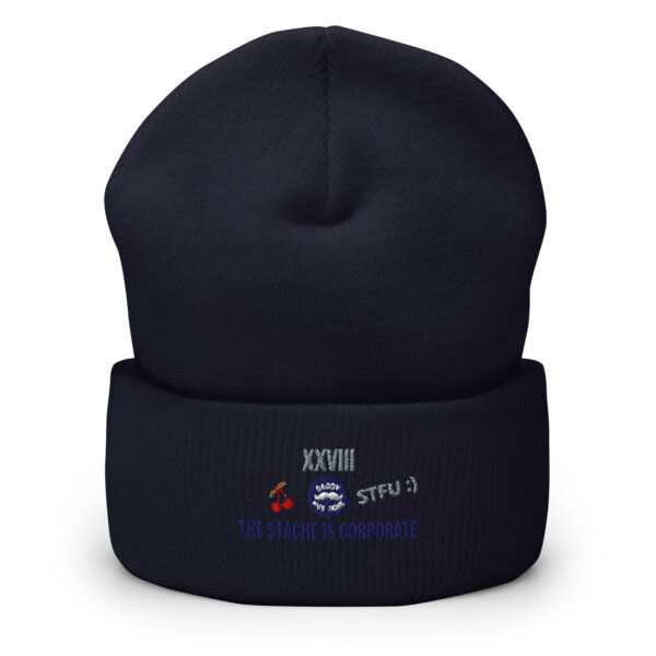Cuffed Beanie - Image 3